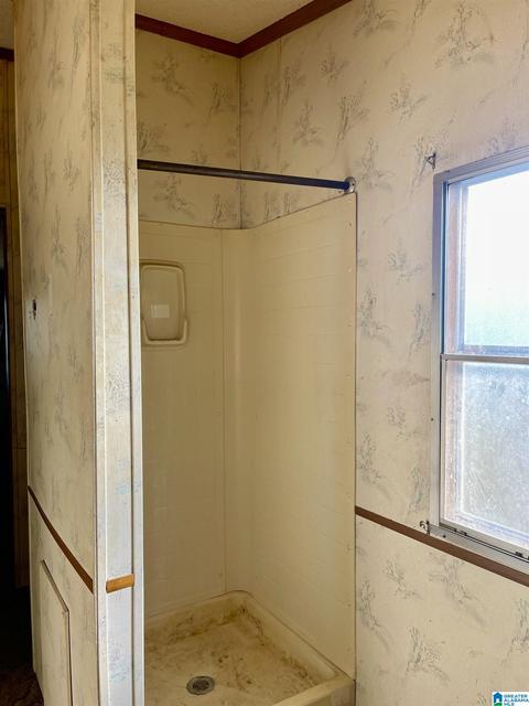 8418 River Rd, Warrior, AL 35180 photo 17
