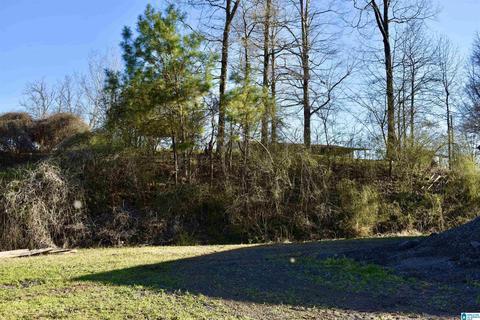 8418 River Rd, Warrior, AL 35180 photo 9
