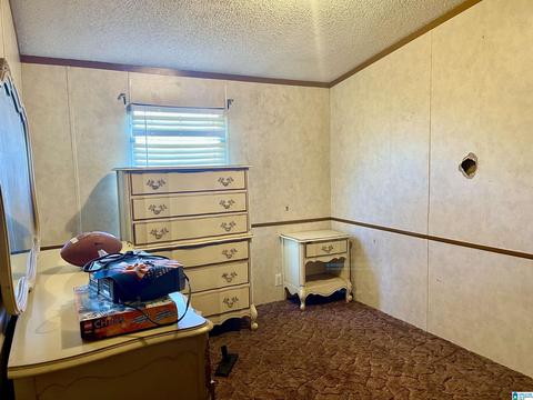 8418 River Rd, Warrior, AL 35180 photo 21