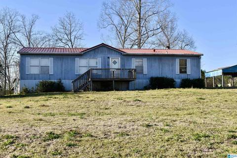 8418 River Rd, Warrior, AL 35180 photo 1