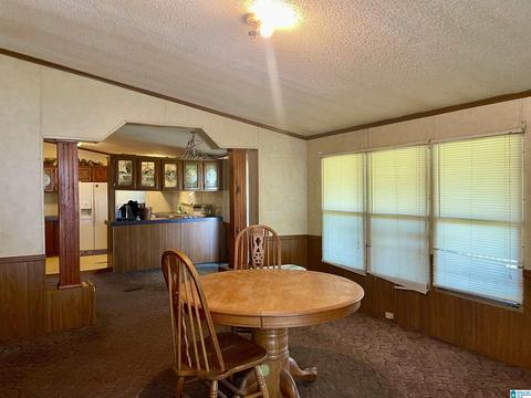 8418 River Rd, Warrior, AL 35180 photo 20