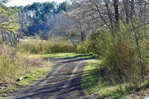 8418 River Rd, Warrior, AL 35180 photo 7
