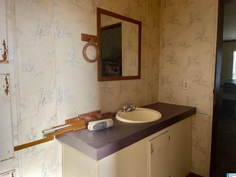 8418 River Rd, Warrior, AL 35180 photo 18