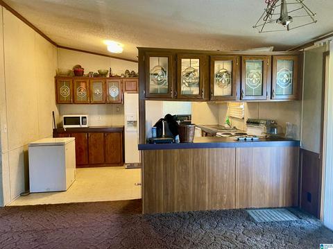 8418 River Rd, Warrior, AL 35180 photo 27
