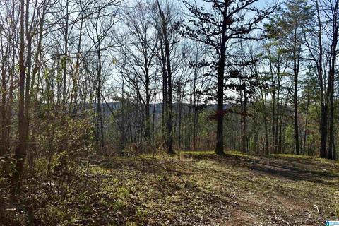 8418 River Rd, Warrior, AL 35180 photo 10