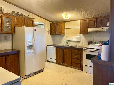 8418 River Rd, Warrior, AL 35180 photo 28