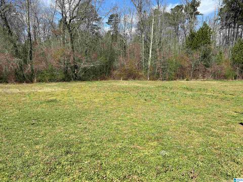 116 Howard St, Warrior, AL 35180 photo 27
