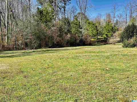 116 Howard St, Warrior, AL 35180 photo 30
