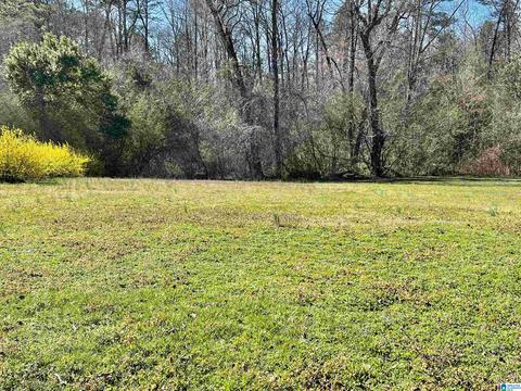 116 Howard St, Warrior, AL 35180 photo 31