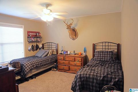 470 Panoramic Cir, Warrior, AL 35180 photo 18