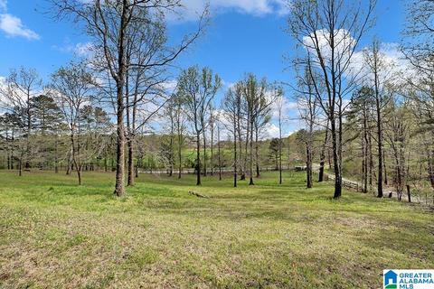 74 Thunder Rd, Springville, AL 35146 photo 20