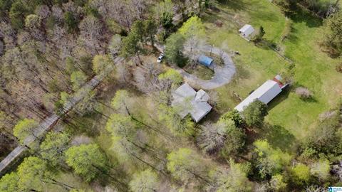 74 Thunder Rd, Springville, AL 35146 photo 2