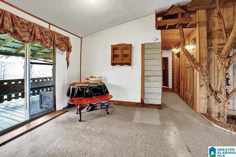 74 Thunder Rd, Springville, AL 35146 photo 28