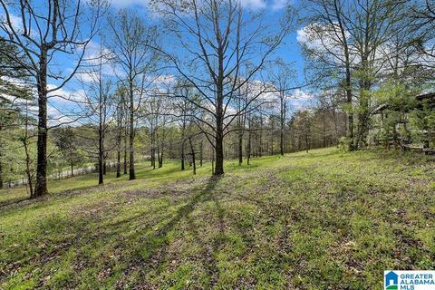 74 Thunder Rd, Springville, AL 35146 photo 22