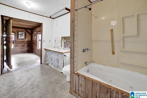 74 Thunder Rd, Springville, AL 35146 photo 39