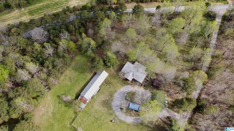 74 Thunder Rd, Springville, AL 35146 photo 3