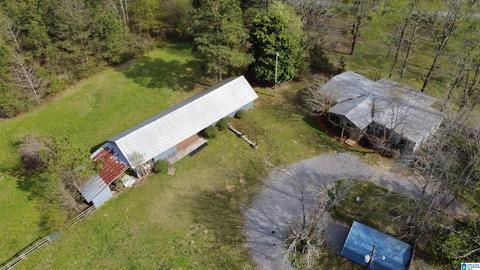 74 Thunder Rd, Springville, AL 35146 photo 6