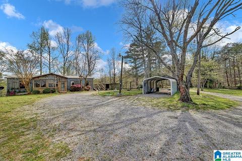 74 Thunder Rd, Springville, AL 35146 photo 10