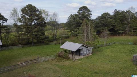 74 Thunder Rd, Springville, AL 35146 photo 43