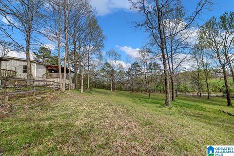 74 Thunder Rd, Springville, AL 35146 photo 21