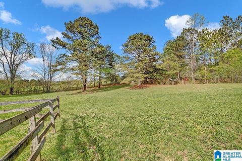 74 Thunder Rd, Springville, AL 35146 photo 14