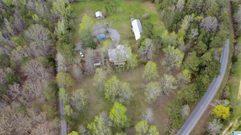 74 Thunder Rd, Springville, AL 35146 photo 4
