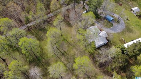 74 Thunder Rd, Springville, AL 35146 photo 5