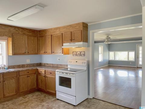 9035 2nd Ave E, Trafford, AL 35172 photo 10