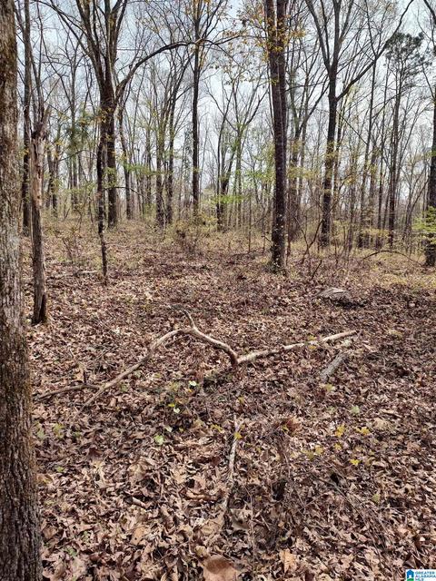 0 Billingsley Dr #0, Childersburg, AL 35044