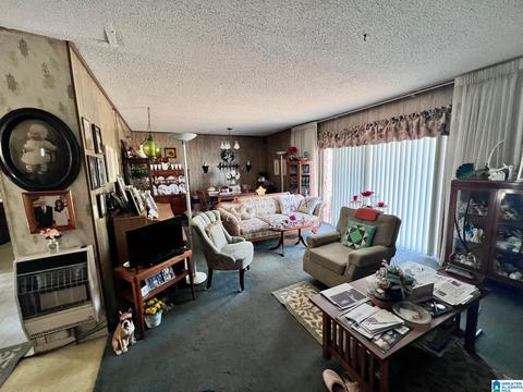 202 Sherry Dr, Centre, AL 35960 photo 3