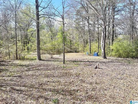 202 Sherry Dr, Centre, AL 35960 photo 13
