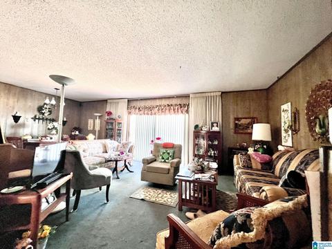202 Sherry Dr, Centre, AL 35960 photo 2
