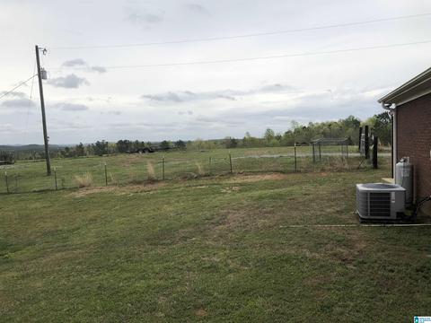 5575 County Road 32, Clanton, AL 35046 photo 29