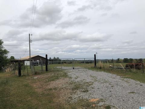 5575 County Road 32, Clanton, AL 35046 photo 36