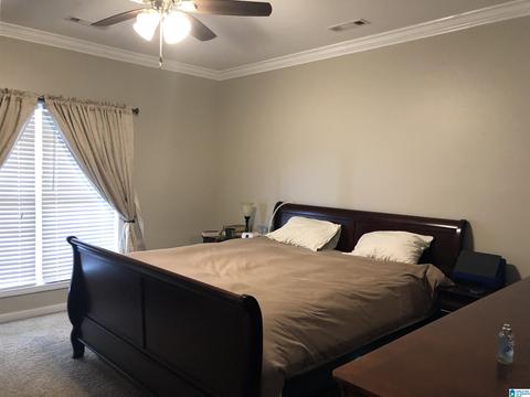 5575 County Road 32, Clanton, AL 35046 photo 15
