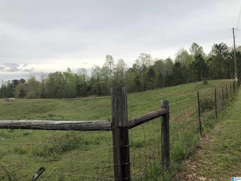 5575 County Road 32, Clanton, AL 35046 photo 43