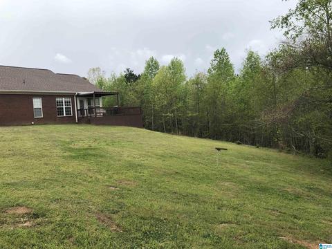 5575 County Road 32, Clanton, AL 35046 photo 34