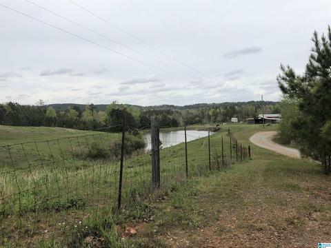 5575 County Road 32, Clanton, AL 35046 photo 45