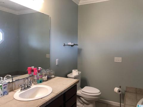 5575 County Road 32, Clanton, AL 35046 photo 17