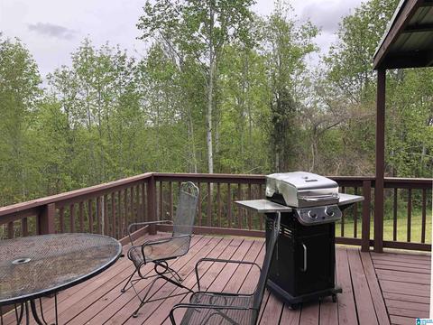 5575 County Road 32, Clanton, AL 35046 photo 25
