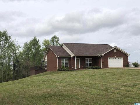 5575 County Road 32, Clanton, AL 35046 photo 30
