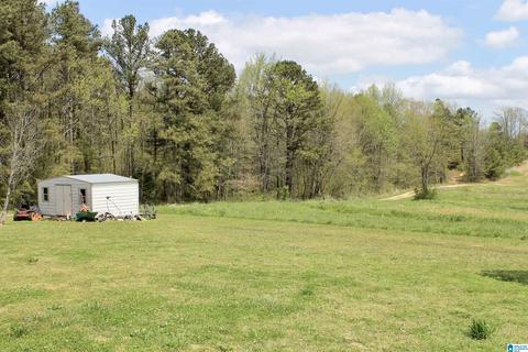 235 Lake Rd, Steele, AL 35987 photo 20