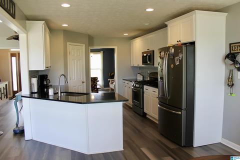 235 Lake Rd, Steele, AL 35987 photo 9