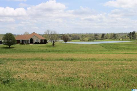 235 Lake Rd, Steele, AL 35987 photo 2