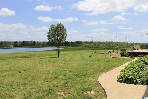235 Lake Rd, Steele, AL 35987 photo 18