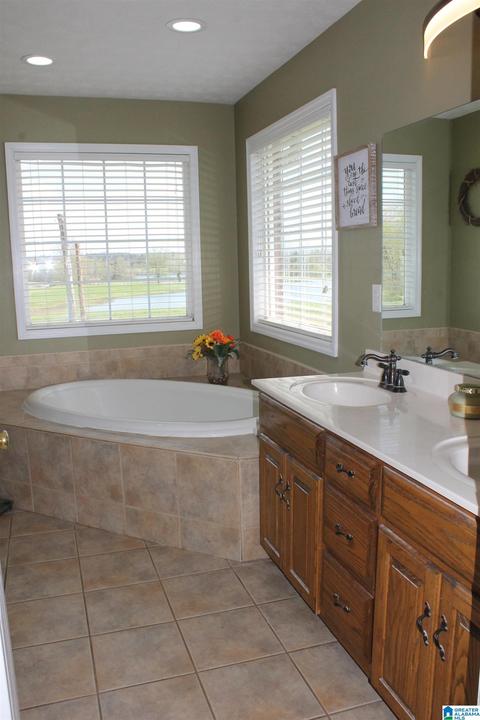 235 Lake Rd, Steele, AL 35987 photo 14