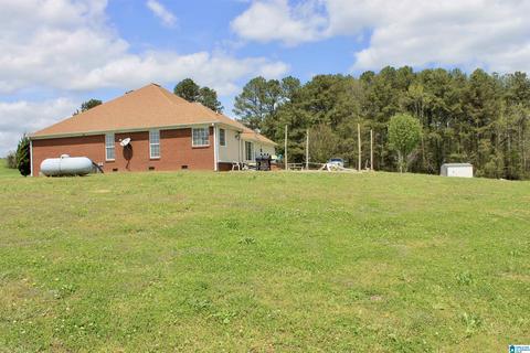 235 Lake Rd, Steele, AL 35987 photo 21