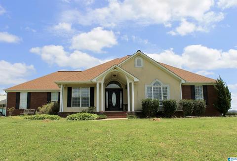 235 Lake Rd, Steele, AL 35987 photo 1
