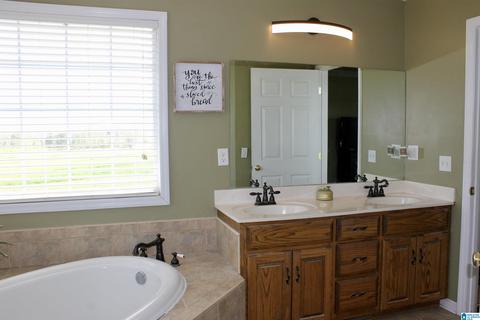 235 Lake Rd, Steele, AL 35987 photo 16