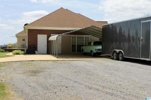 235 Lake Rd, Steele, AL 35987 photo 23